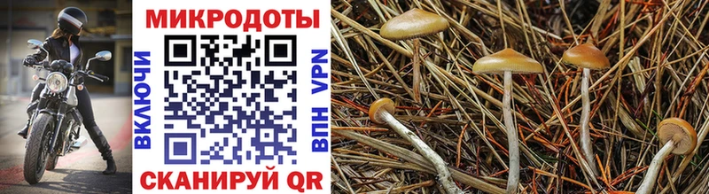 сколько стоит  Моршанск  KRAKEN ONION  нарко площадка Telegram  Галлюциногенные грибы MAGIC MUSHROOMS 