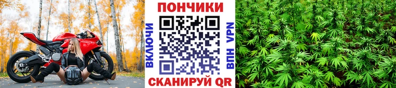 Шишки марихуана THC 21%  мориарти телеграм  Моршанск  закладки 